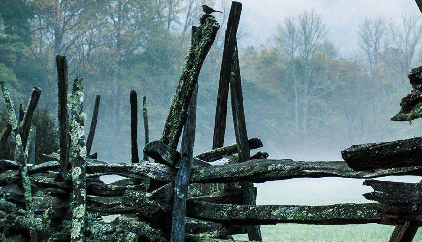 تمرکز بر شهر: فیلادلفیا (City Spotlight: Philadelphia)